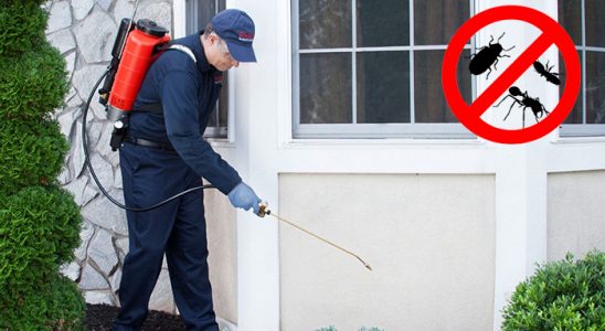 Akyaka Bit İlaçlama böcek ilaçlama ve haşere kontrolü — ilaclama-tr.com